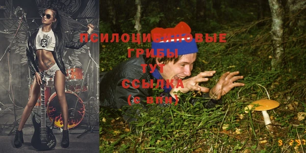 дурь Алексин